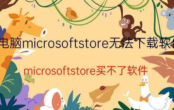 电脑microsoftstore无法下载软件 microsoftstore买不了软件？